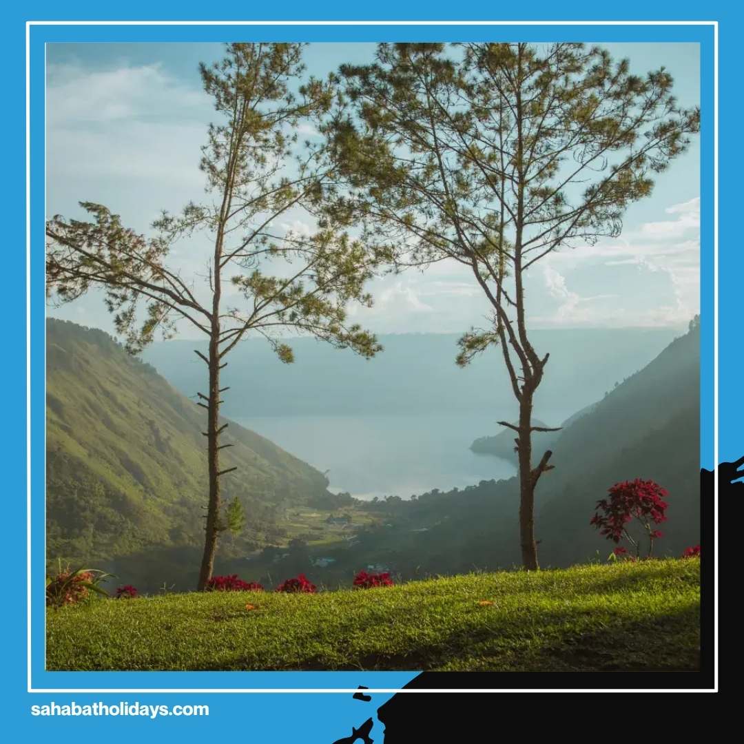 Not in Korea! Peek at the Aesthetic Bobocabin Lake Toba Wooden Cabin That's Going Viral on TikTok